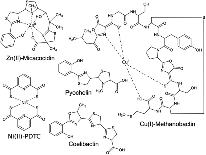 6 Common HM chelators with their specific activity and metal