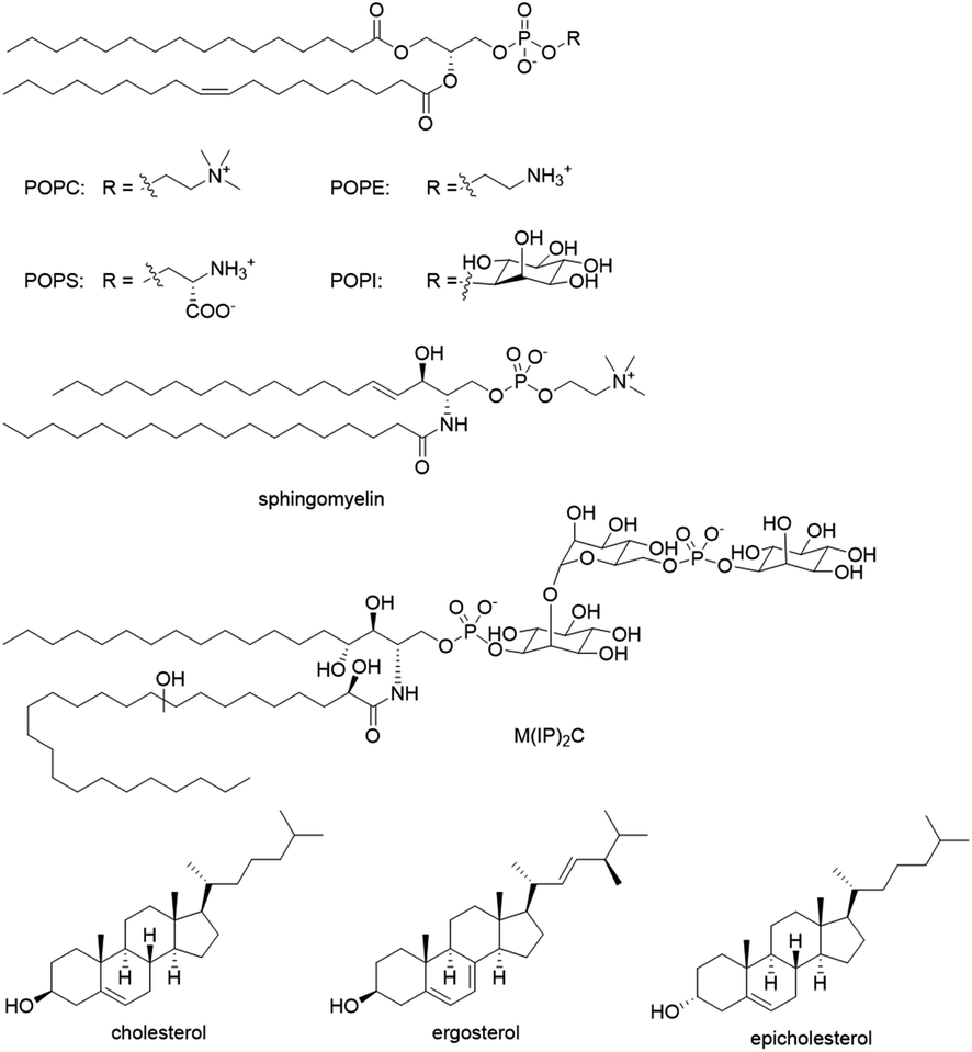 Chemical diversity and mode of action of natural products 