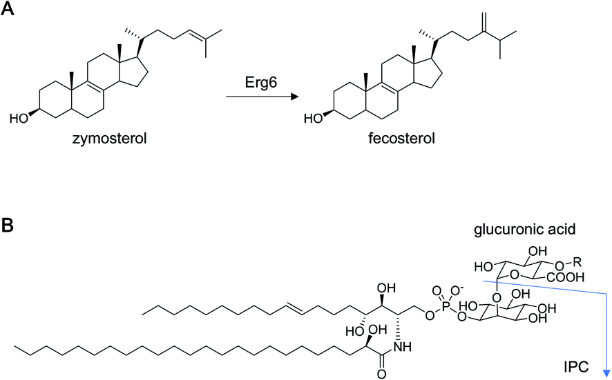 Chemical diversity and mode of action of natural products 