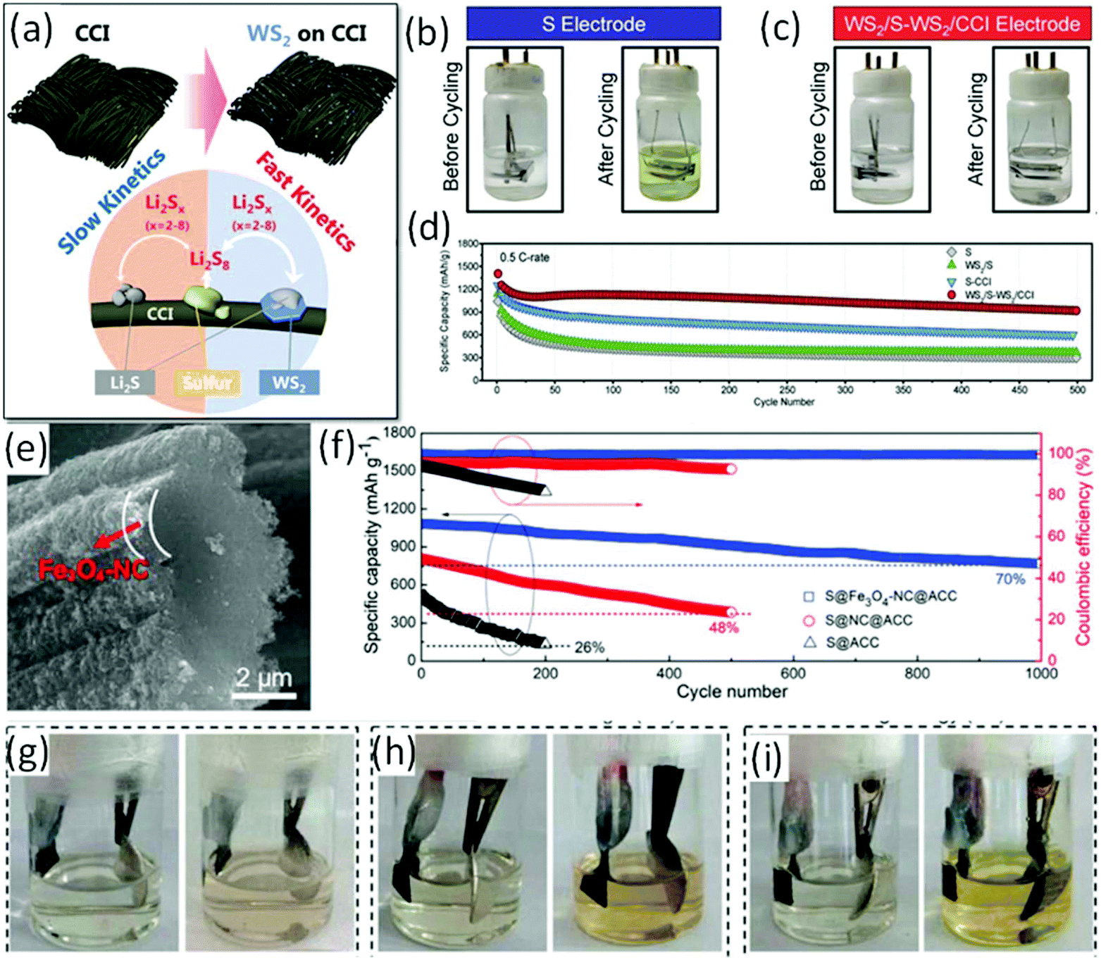 Flexible 3D carbon cloth as a high-performing electrode for energy 