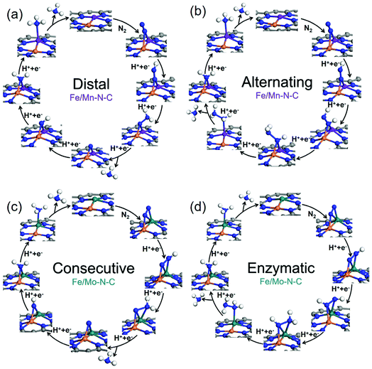 Tuning The Electronic Structure Of Transition Metals Embedded In Nitrogen Doped Graphene For Electrocatalytic Nitrogen Reduction A First Principles S Nanoscale Rsc Publishing Doi 10 1039 D0nrh