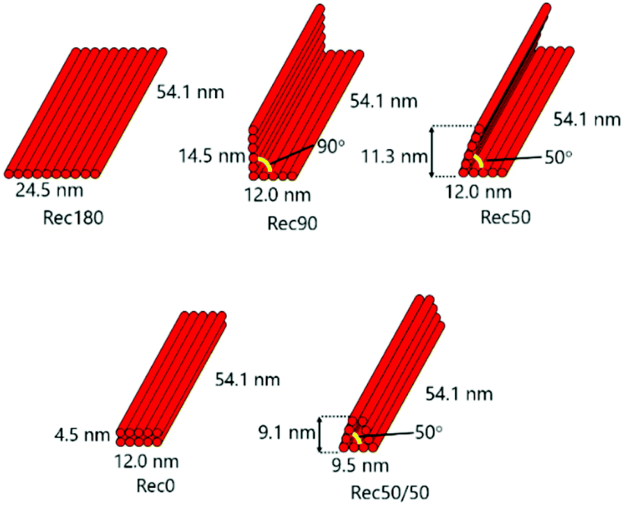 DNA density-dependent uptake of DNA origami-based two-or