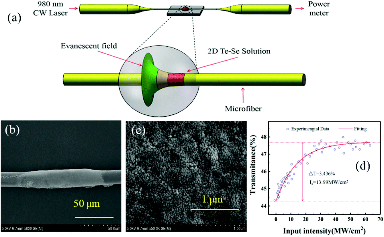 A nano-lateral heterojunction of selenium-coated tellurium for 