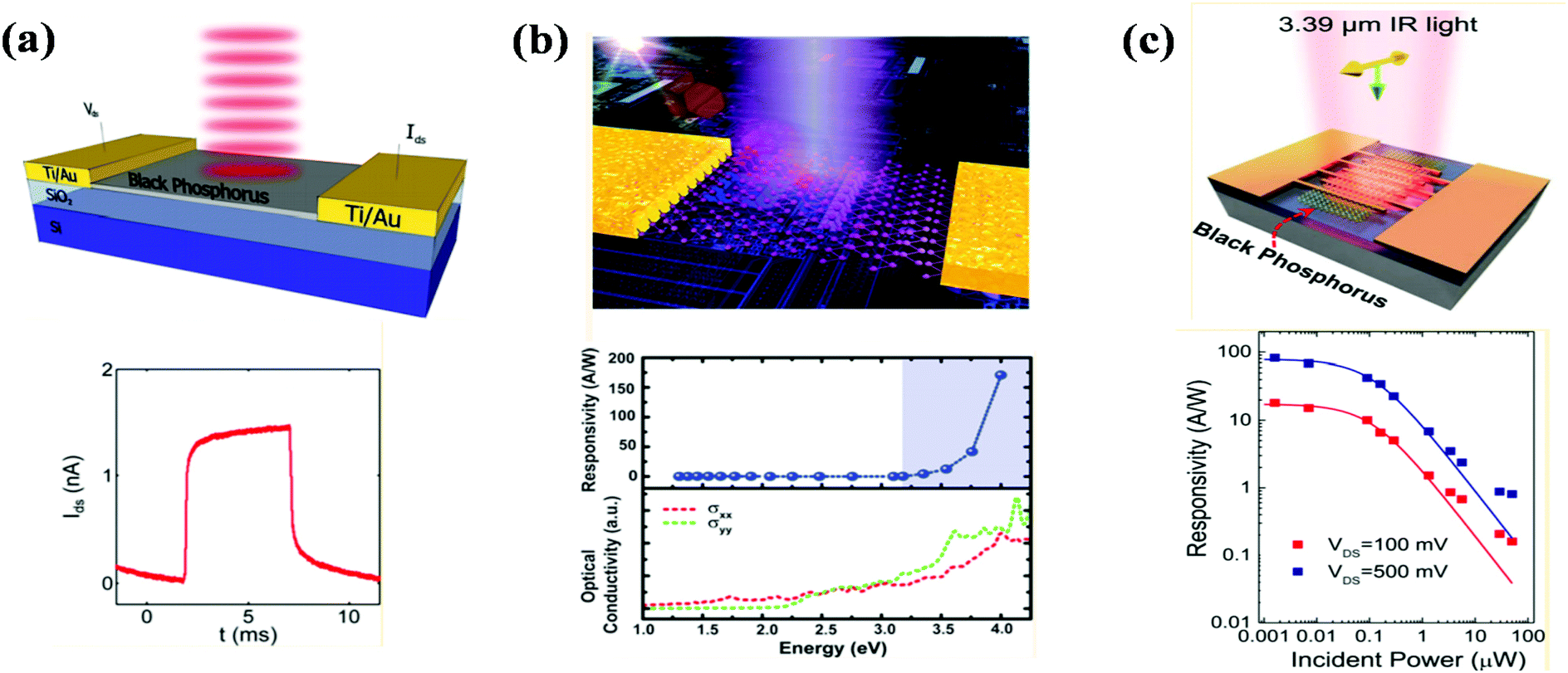 Emerging Pnictogen Based 2d Semiconductors Sensing And Electronic Devices Nanoscale Rsc Publishing Doi 10 1039 D0nrg