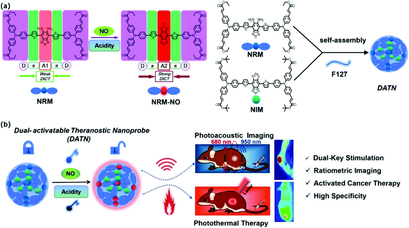 A Minireview On Multiparameter Activated Nanodevices For Cancer Imaging And Therapy Nanoscale Rsc Publishing Doi 10 1039 D0nrk