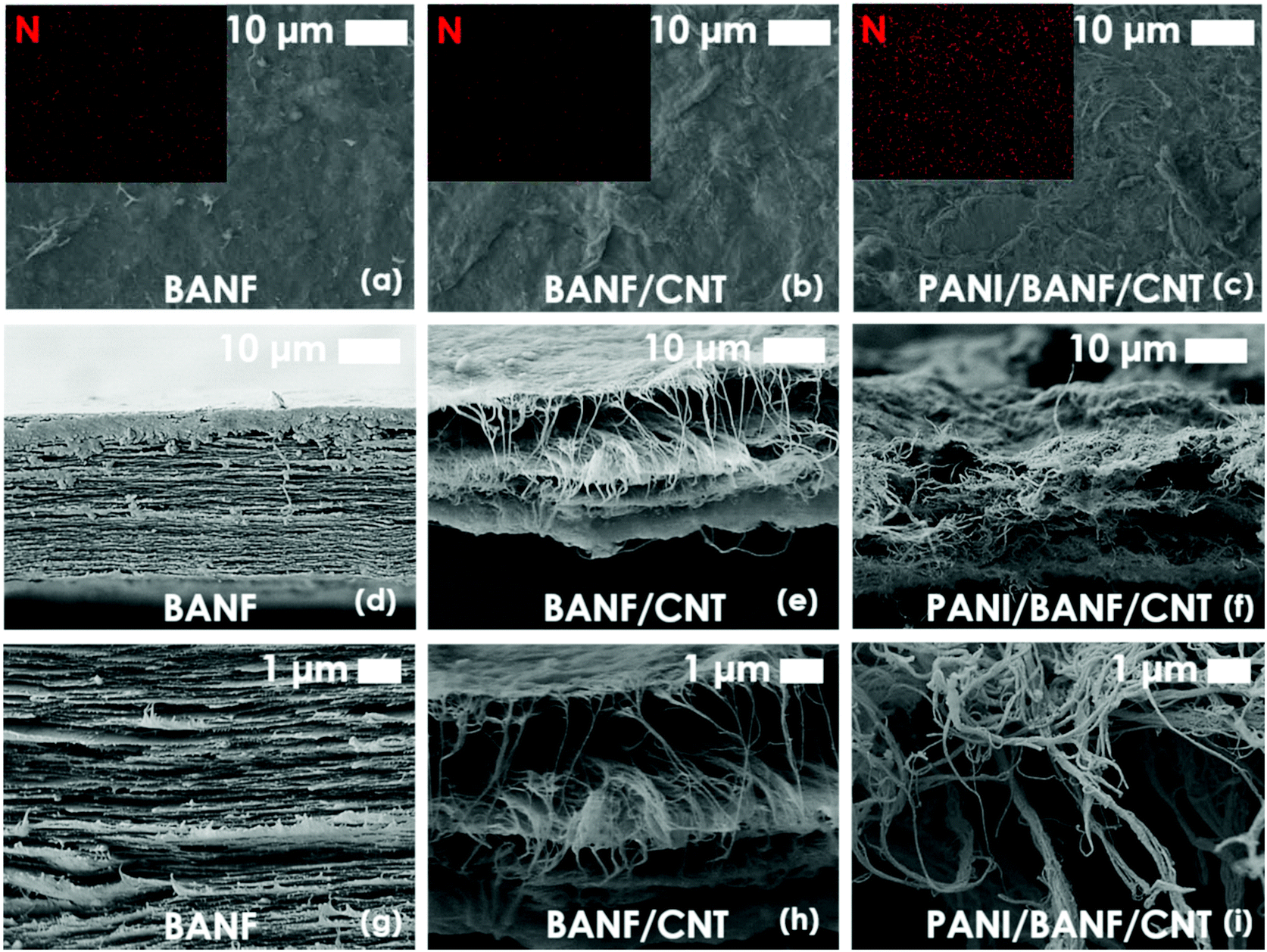 Branched Aramid Nanofiber Polyaniline Electrodes For Structural Energy Storage Nanoscale Rsc Publishing Doi 10 1039 D0nrj
