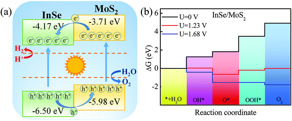 Theoretical study on the photocatalytic properties of 2D InX(X = S 