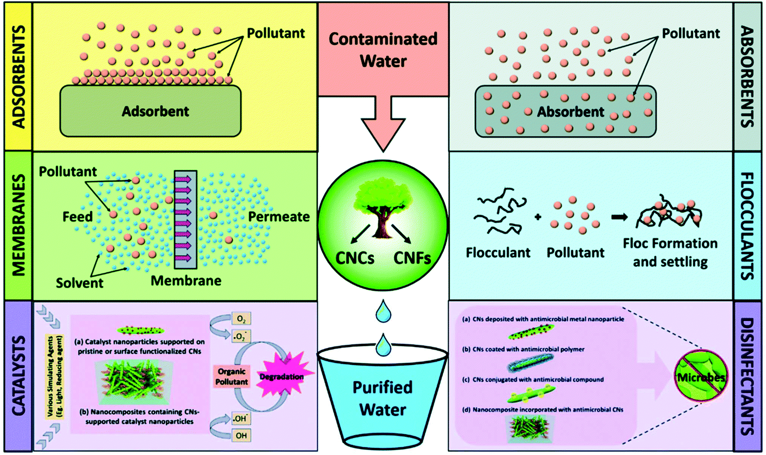 Plant Celluloses Hemicelluloses Lignins And Volatile Oils For The Synthesis Of Nanoparticles And Nanostructured Materials Nanoscale Rsc Publishing Doi 10 1039 D0nrc