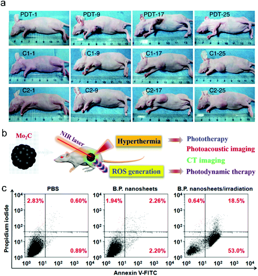 Recent advances in ultrathin two-dimensional materials and 