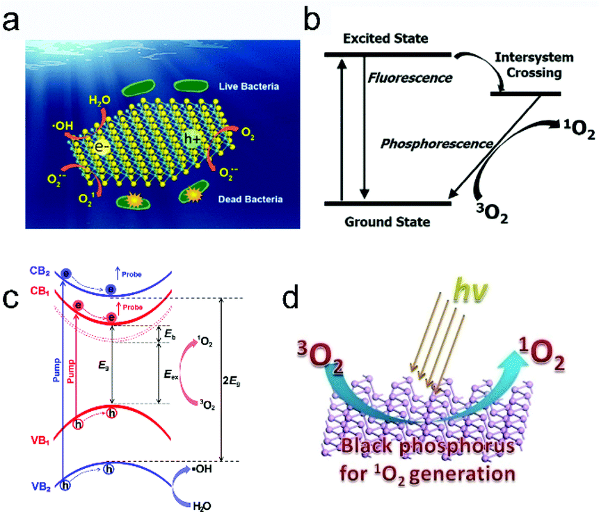 Recent advances in ultrathin two-dimensional materials and 