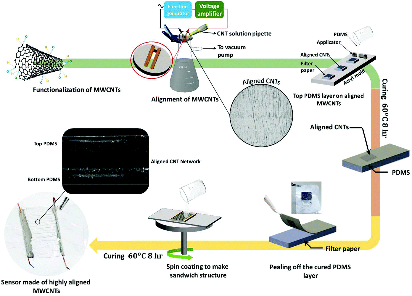 Highly aligned carbon nanotubes and their sensor applications - Nanoscale  (RSC Publishing) DOI:10.1039/D0NR05951J