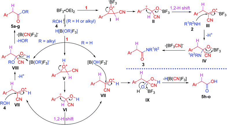 BF 3 ·OEt 2 -promoted tandem Meinwald rearrangement and nucleophilic ...