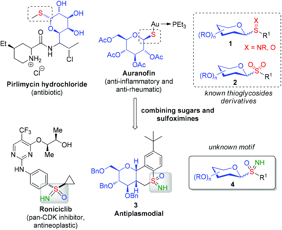 Synthesis Of Glycosyl Sulfoximines By A Highly Chemo And Stereoselective Nh And O Transfer To Thioglycosides Organic Biomolecular Chemistry Rsc Publishing Doi 10 1039 D0obe