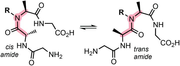 N Hydroxy Peptides Solid Phase Synthesis And B Sheet Propensity Organic Biomolecular Chemistry Rsc Publishing Doi 10 1039 D0ob00664e