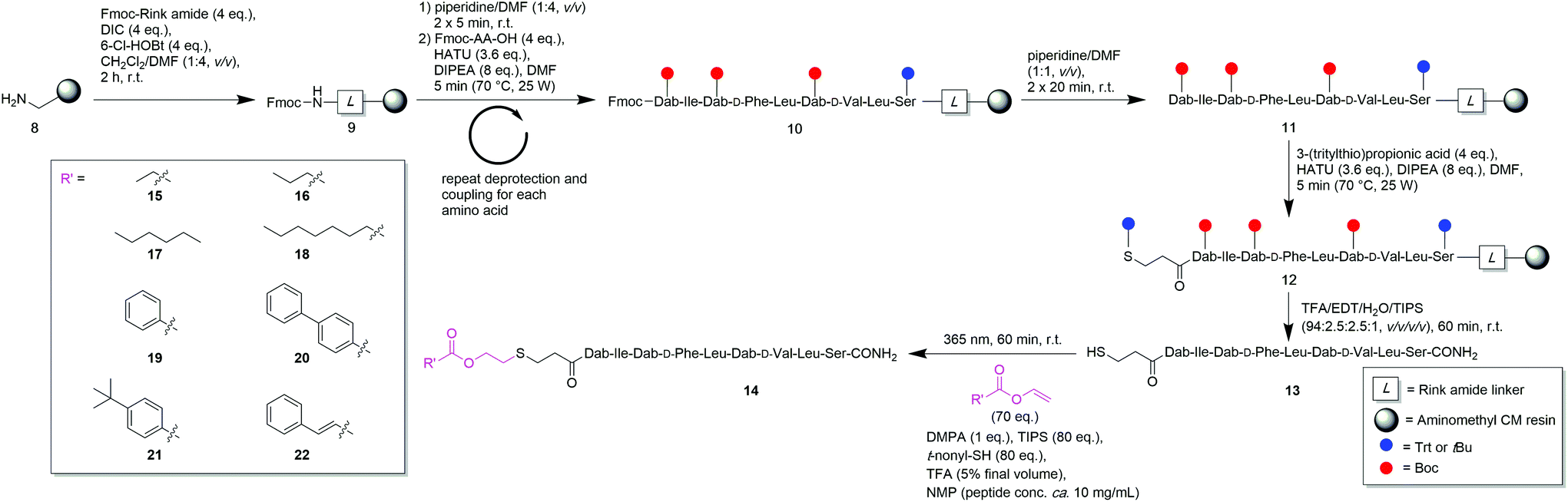 Synthesis Of Paenipeptin C Analogues Employing Solution Phase Clippa Chemistry Organic Biomolecular Chemistry Rsc Publishing Doi 10 1039 D0obd