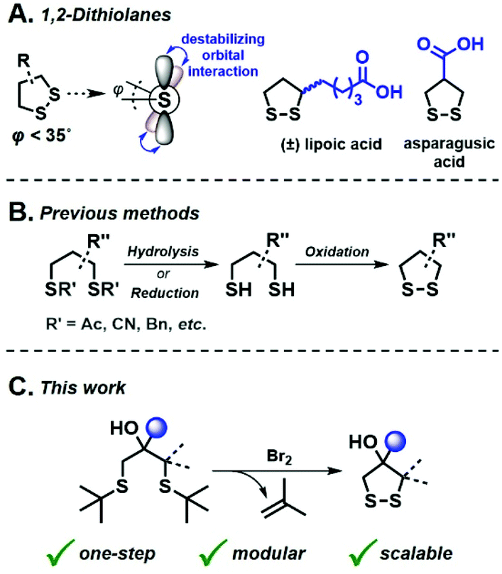 1,3-Dithiolanes, 1,3-Dithianes