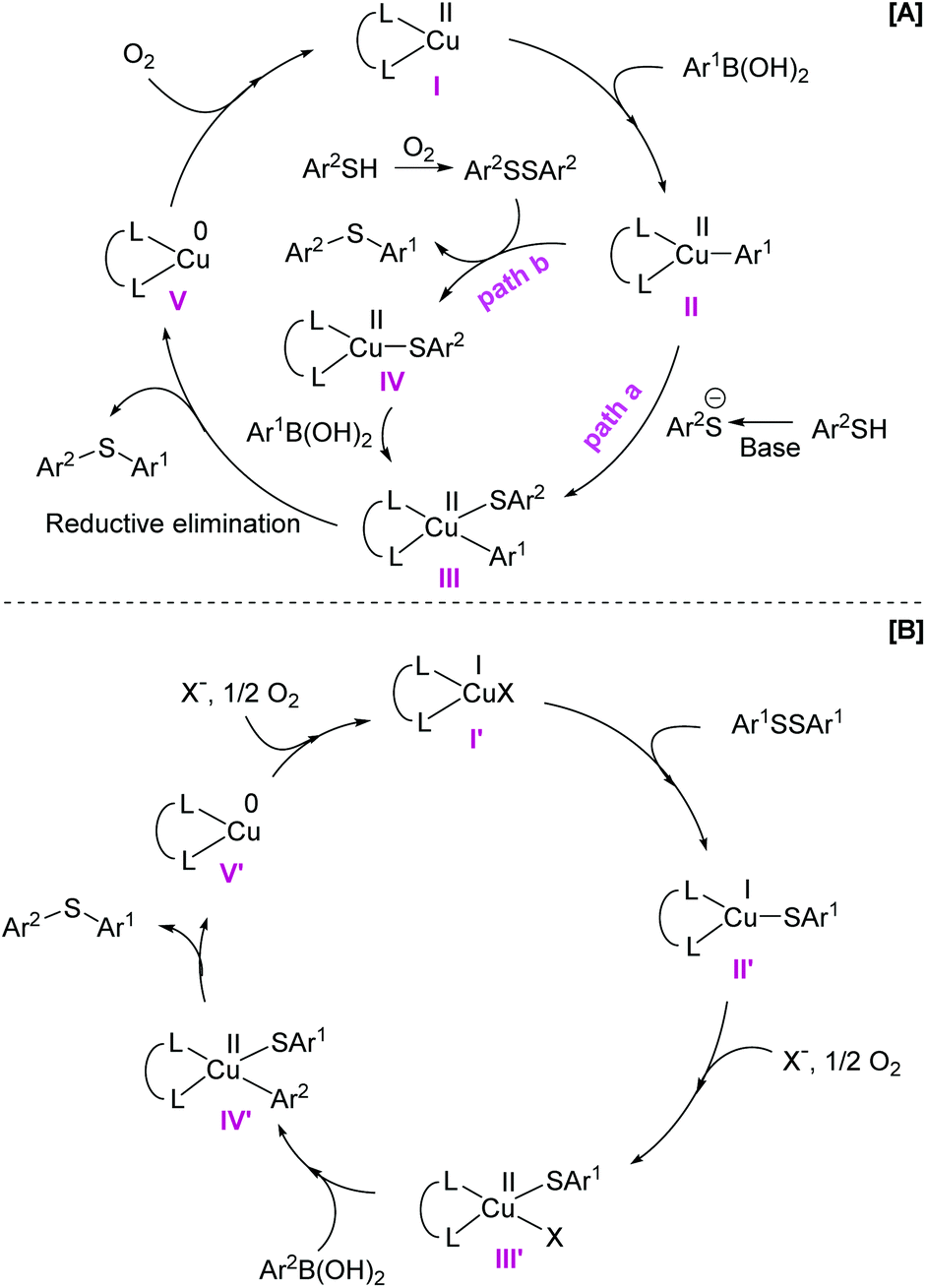 Advances in Cu and Ni-catalyzed Chan–Lam-type coupling: synthesis of  diarylchalcogenides, Ar 2 –X (X = S, Se, Te) - Organic & Biomolecular  Chemistry (RSC Publishing) DOI:10.1039/D0OB02035D
