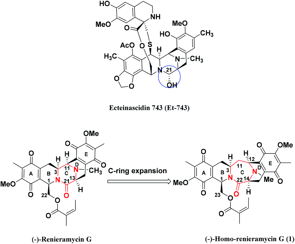 Synthesis of the Tetrahydroisoquinoline Alkaloid (±)-Renieramycin