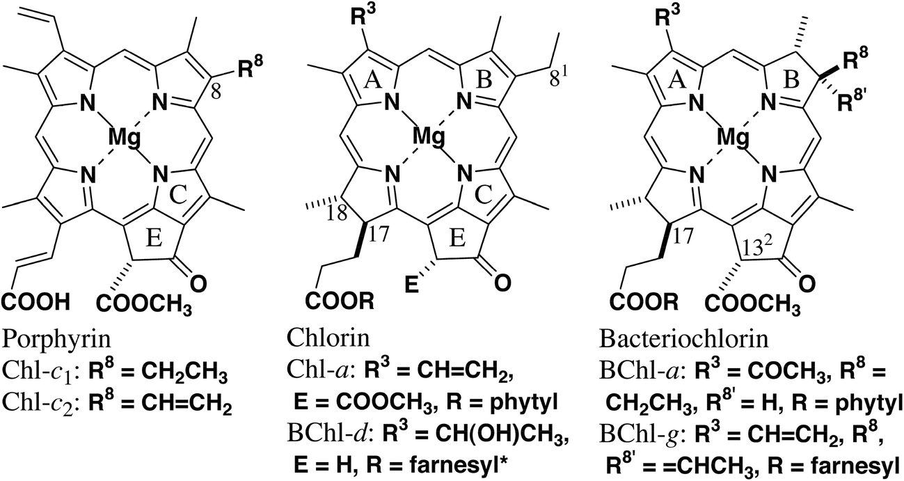 Intramolecular Interaction Of Synthetic Chlorophyll Heterodyads With Different P Skeletons Photochemical Photobiological Sciences Rsc Publishing Doi 10 1039 C9pph