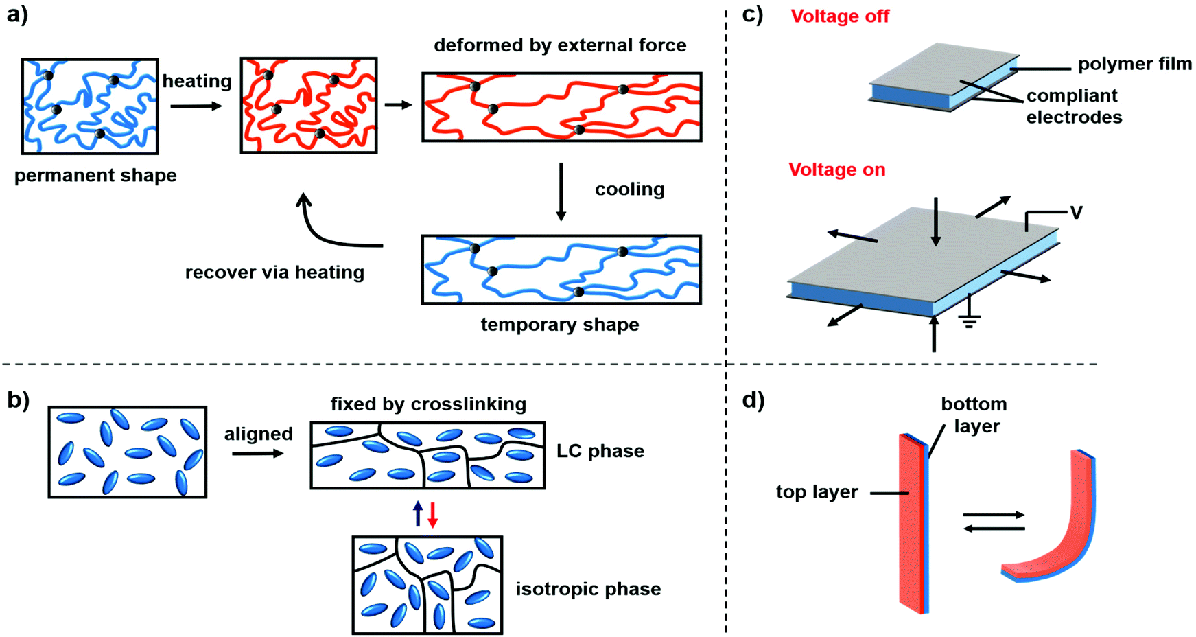 Polymer actuators based on covalent adaptable networks Polymer Chemistry (RSC Publishing) DOI