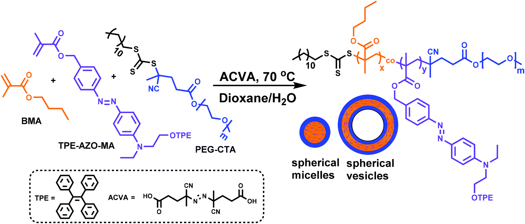 Rx 07981002ZXS | LTX Series + Fuse Only | Littelfuse