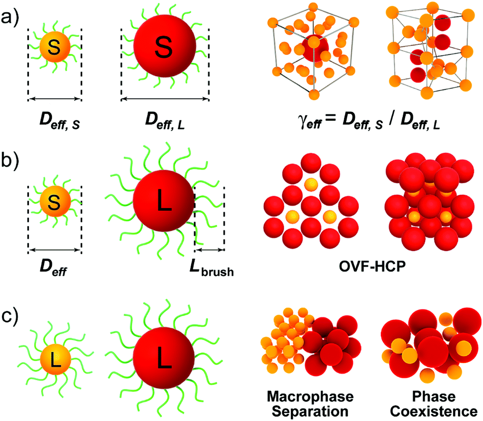 Chain Length Effect On Binary Superlattices Of Polymer Tethered Nanoparticles Materials Chemistry Frontiers Rsc Publishing Doi 10 1039 D0qme