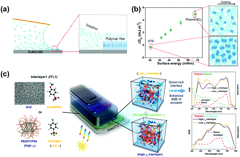 Role of interface properties in organic solar cells: from 