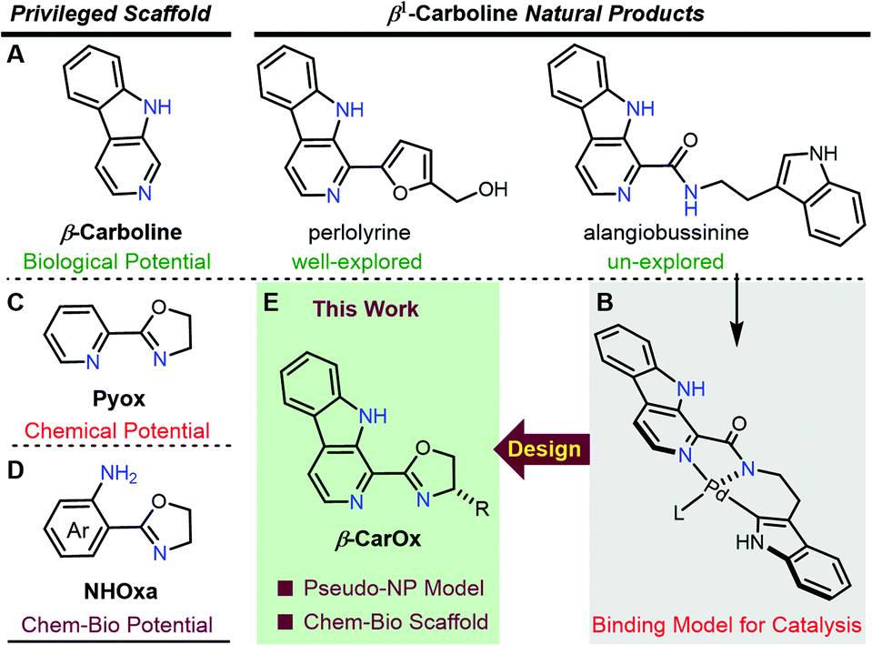 Natural Carbolines Inspired The Discovery Of Chiral Carox Ligands For Asymmetric Synthesis And Antifungal Leads Organic Chemistry Frontiers Rsc Publishing Doi 10 1039 D0qoc