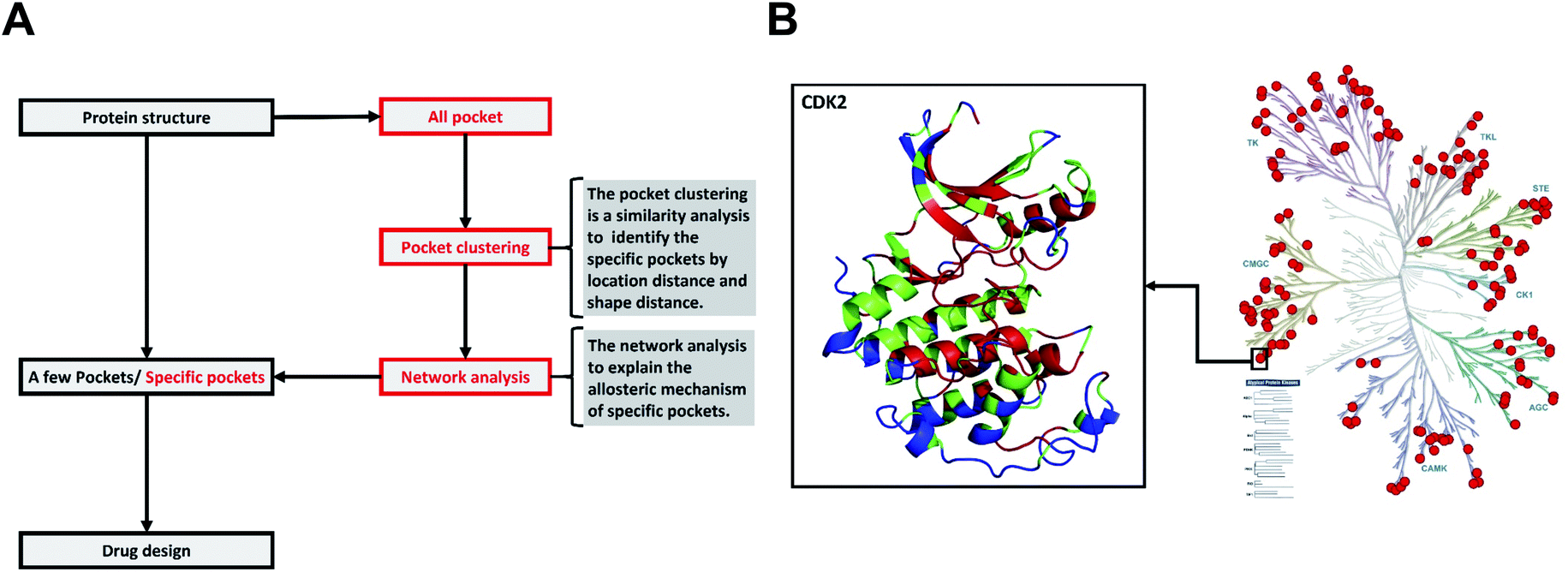 Novel method to identify group-specific non-catalytic pockets of