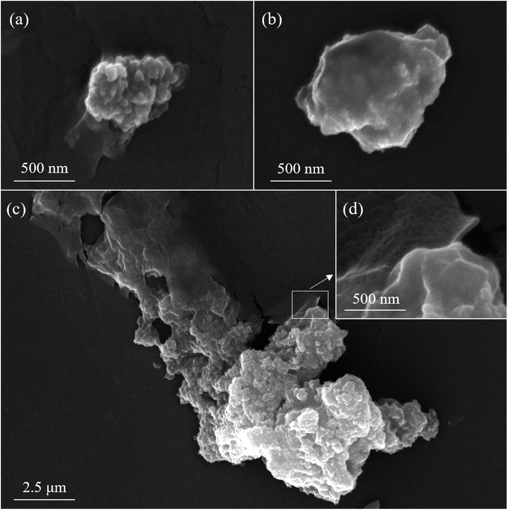 Immobilization Of Laccase On Magnetically Separable Biochar For Highly Efficient Removal Of Bisphenol A In Water Rsc Advances Rsc Publishing Doi 10 1039 C9ra000h