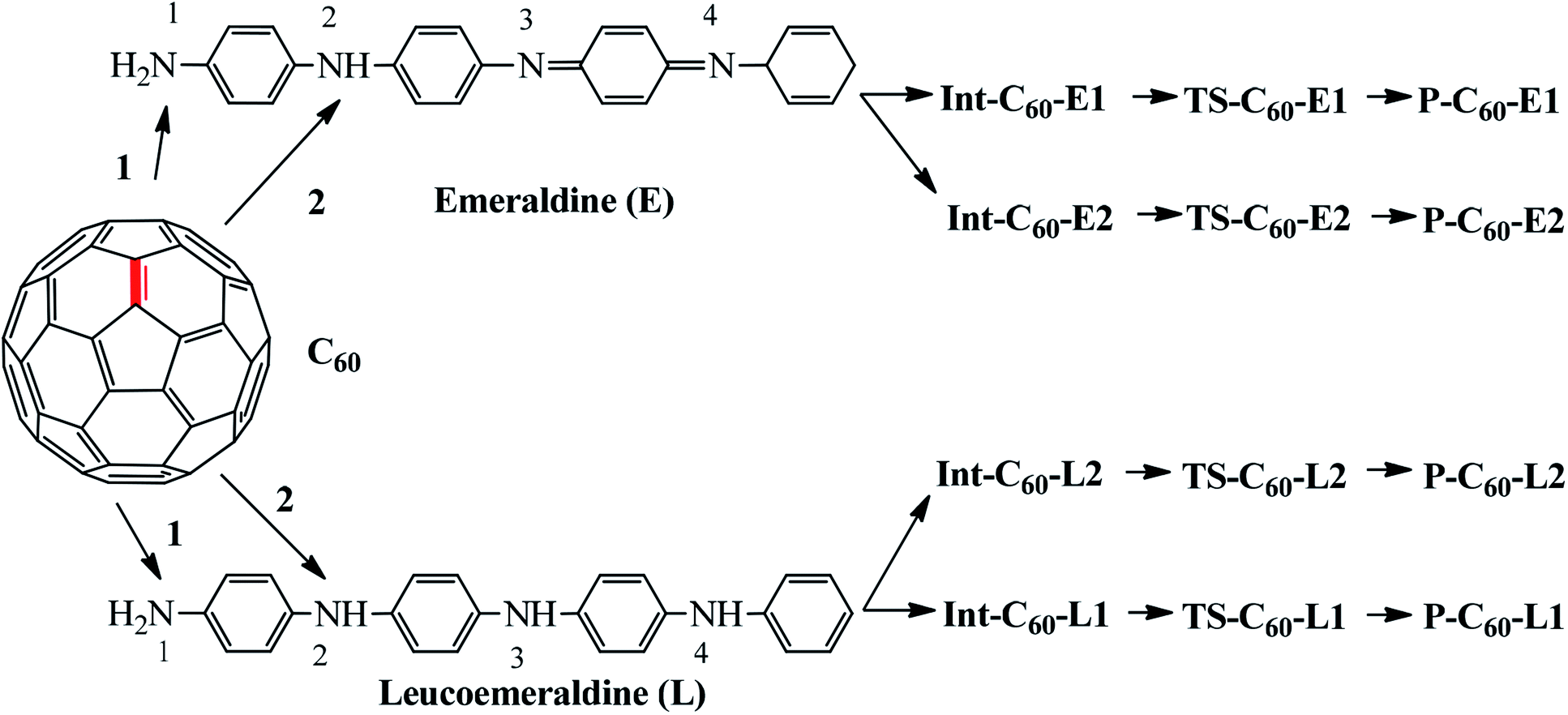 Functionalization And Antioxidant Activity Of Polyaniline Fullerene Hybrid Nanomaterials A Theoretical Investigation Rsc Advances Rsc Publishing Doi 10 1039 D0rab