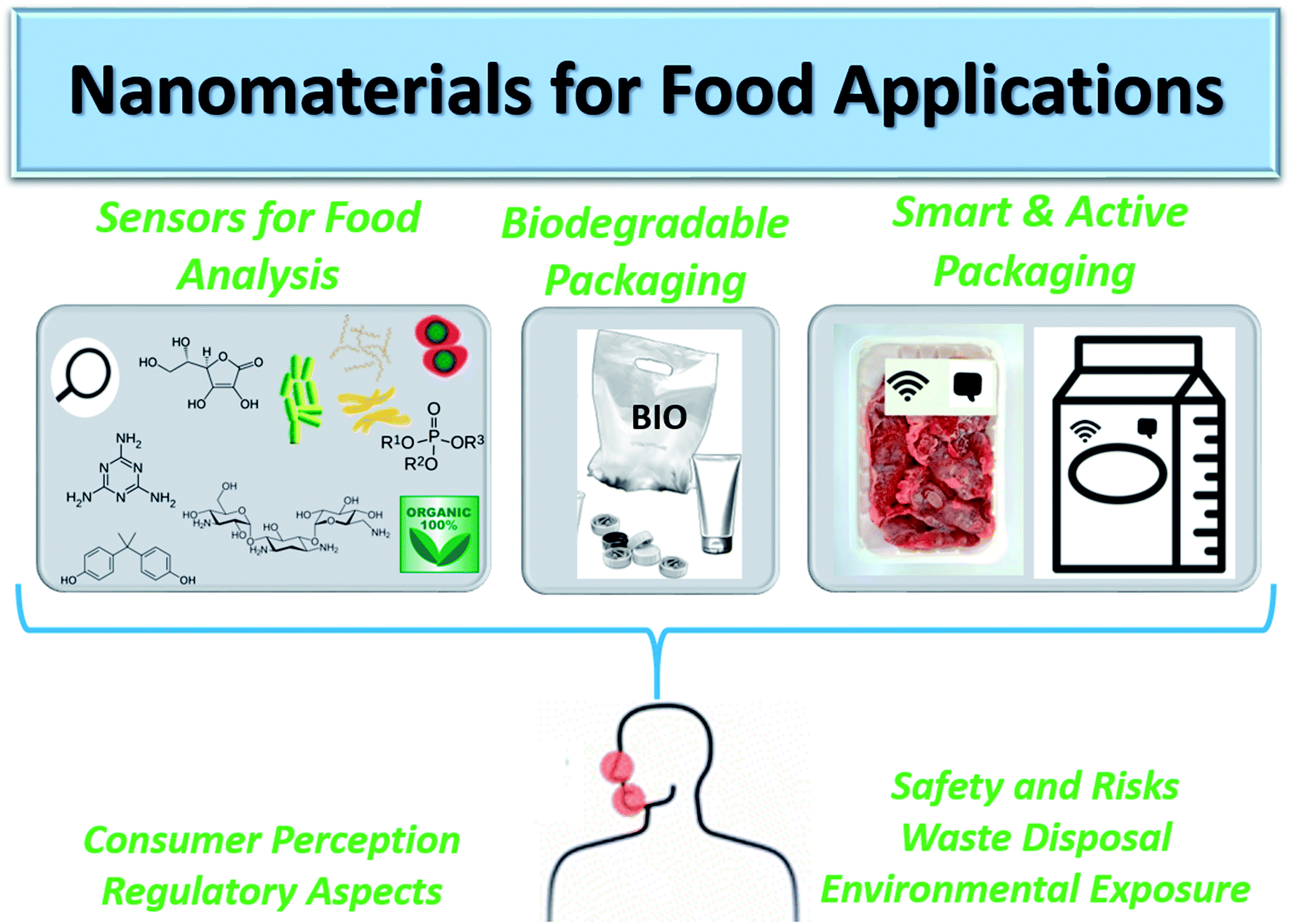 Nanotechnology Based Approaches For Food Sensing And Packaging Applications Rsc Advances Rsc Publishing Doi 10 1039 D0rag