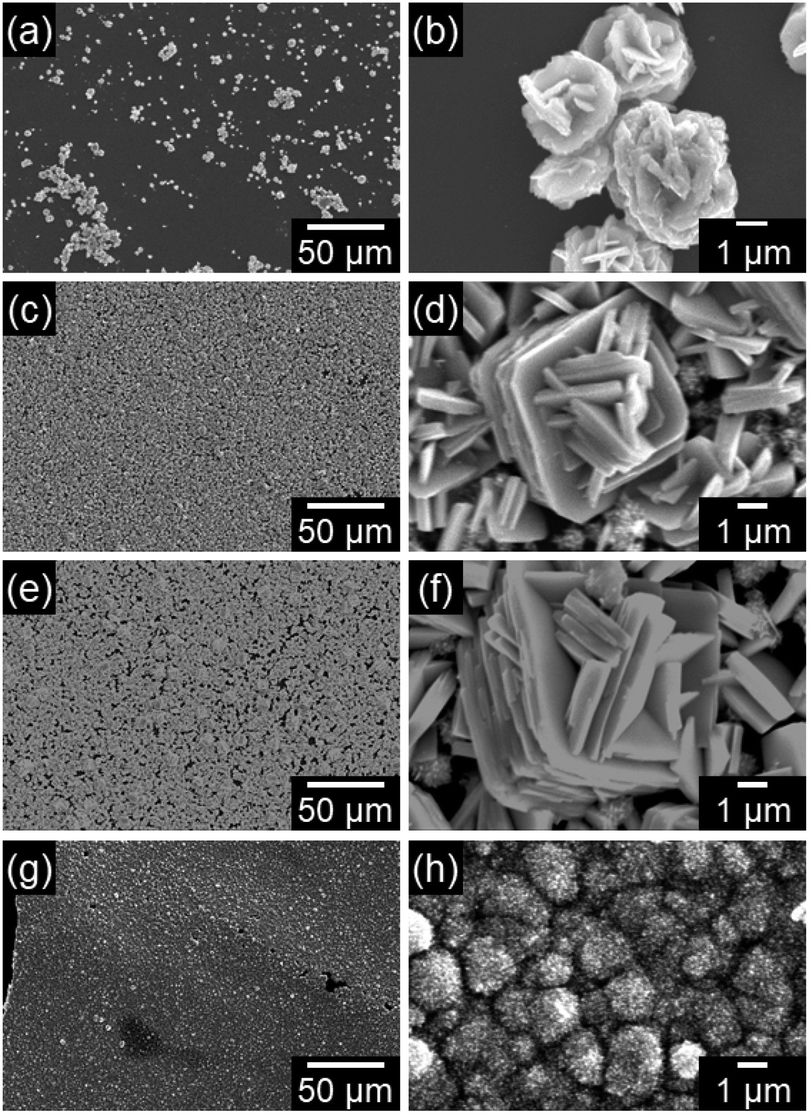 Nano And Micro Structural Control Of Wo 3 Photoelectrode Films Through Aqueous Synthesis Of Wo 3 H 2 O And Nh 4 0 33 Wo 3 Precursors Rsc Advances Rsc Publishing Doi 10 1039 D0ra01321h