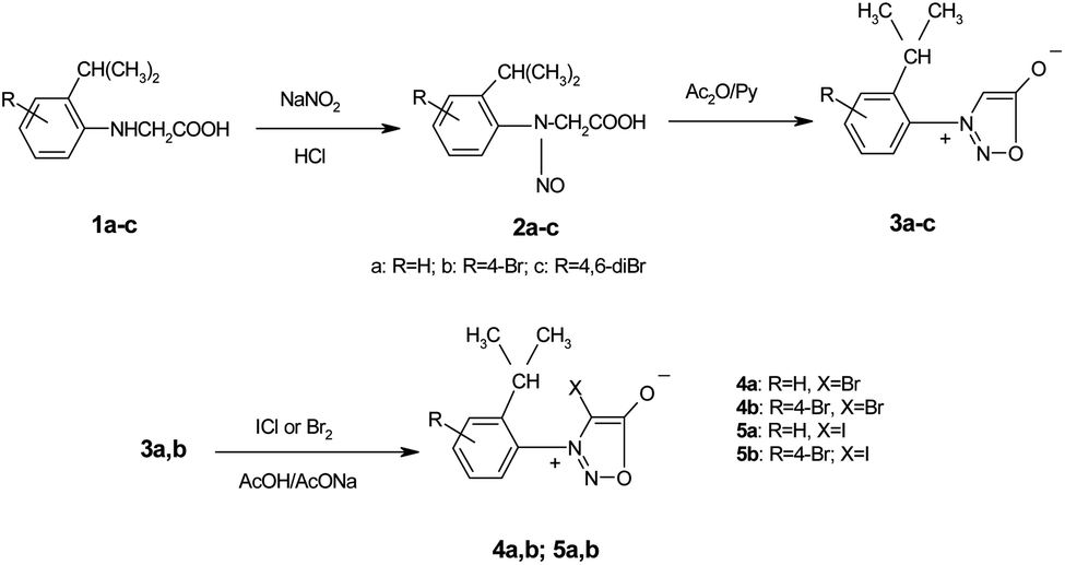Introducing Chirality In Halogenated 3 Arylsydnones And Their Corresponding 1 Arylpyrazoles Obtained By 1 3 Dipolar Cycloaddition Rsc Advances Rsc Publishing Doi 10 1039 D0raj
