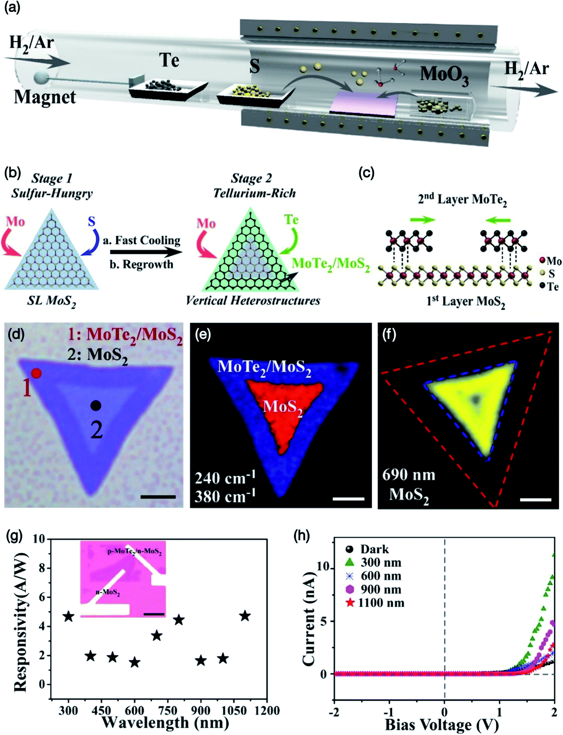 A Review Of Molybdenum Disulfide Mos 2 Based Photodetectors From Ultra Broadband Self Powered To Flexible Devices Rsc Advances Rsc Publishing Doi 10 1039 D0ra031f