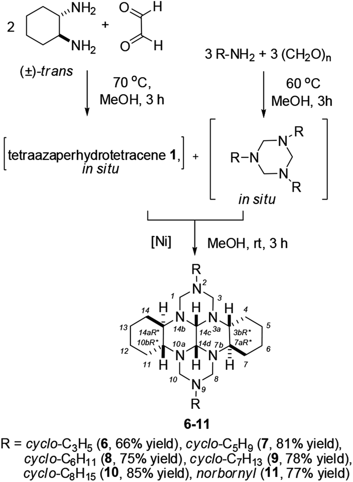 Synthesis Structure And Antitumor Activity Of 2 9 Disubstituted Perhydro 2 3a 7b 9 10a 14b Hexaazadibenzotetracenes Rsc Advances Rsc Publishing Doi 10 1039 D0ra039c