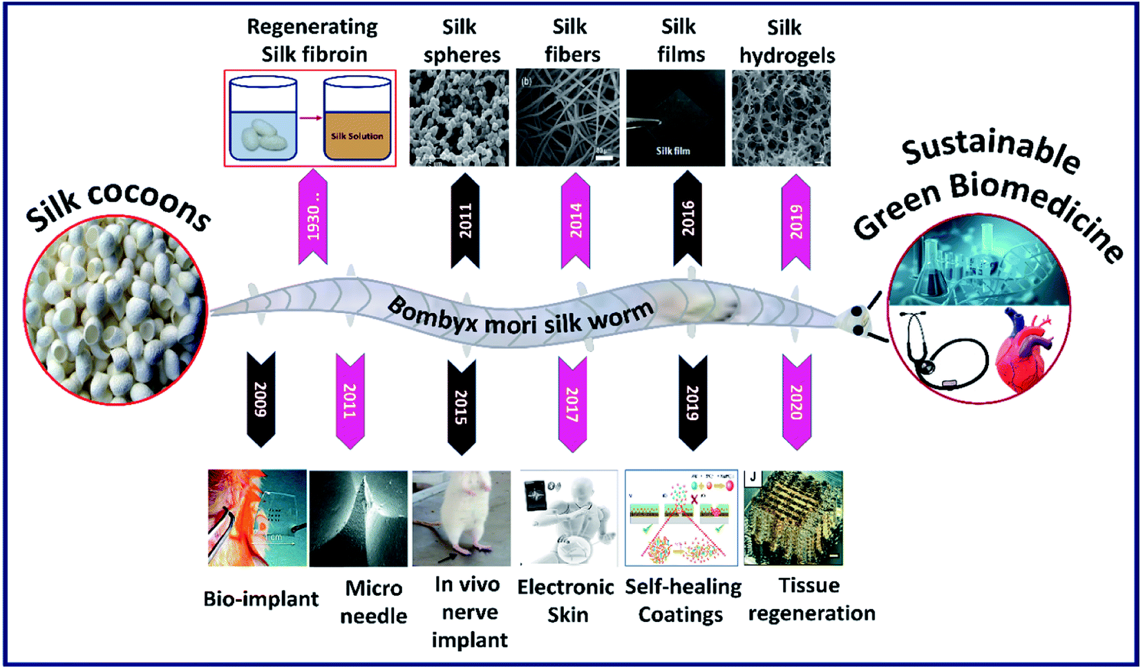 Multifunctional Biosensors Made with Self-Healable Silk Fibroin