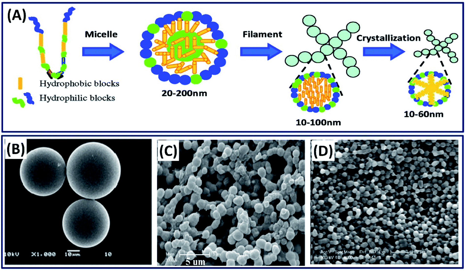 Multifunctional Biosensors Made with Self-Healable Silk Fibroin