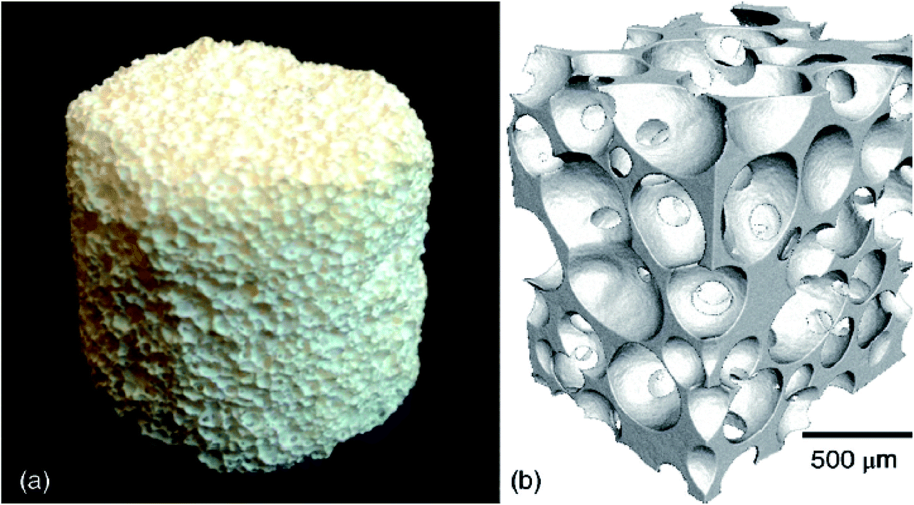 Progress in Hydroxyapatite–Starch Based Sustainable Biomaterials