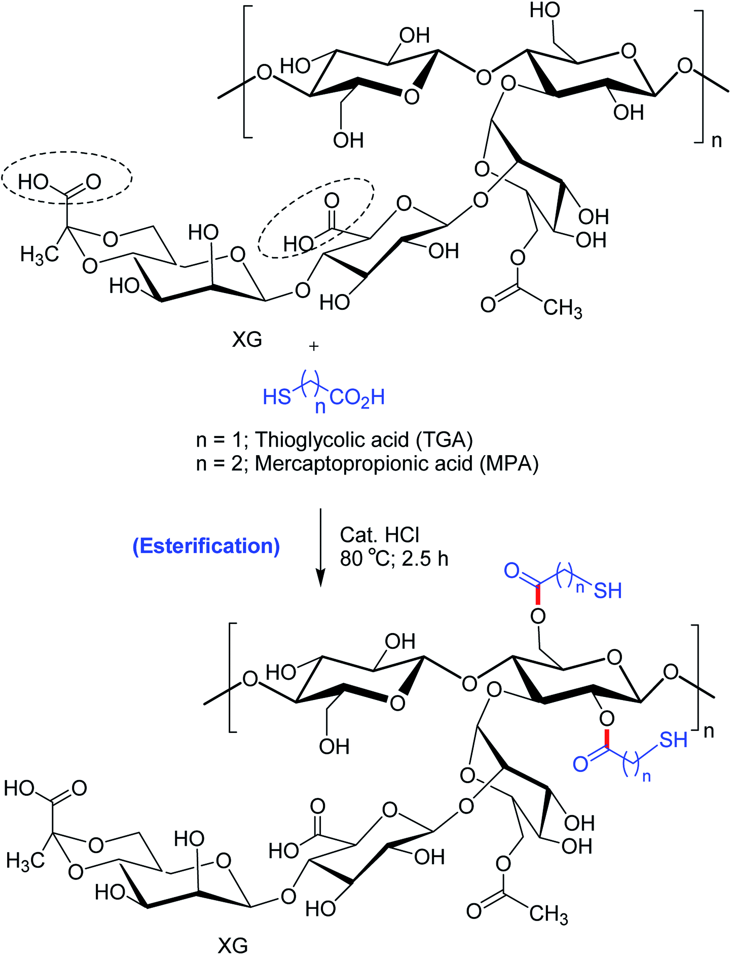 Xanthan Gum Derivatives Review Of Synthesis Properties And Diverse Applications Rsc Advances Rsc Publishing Doi 10 1039 D0rad