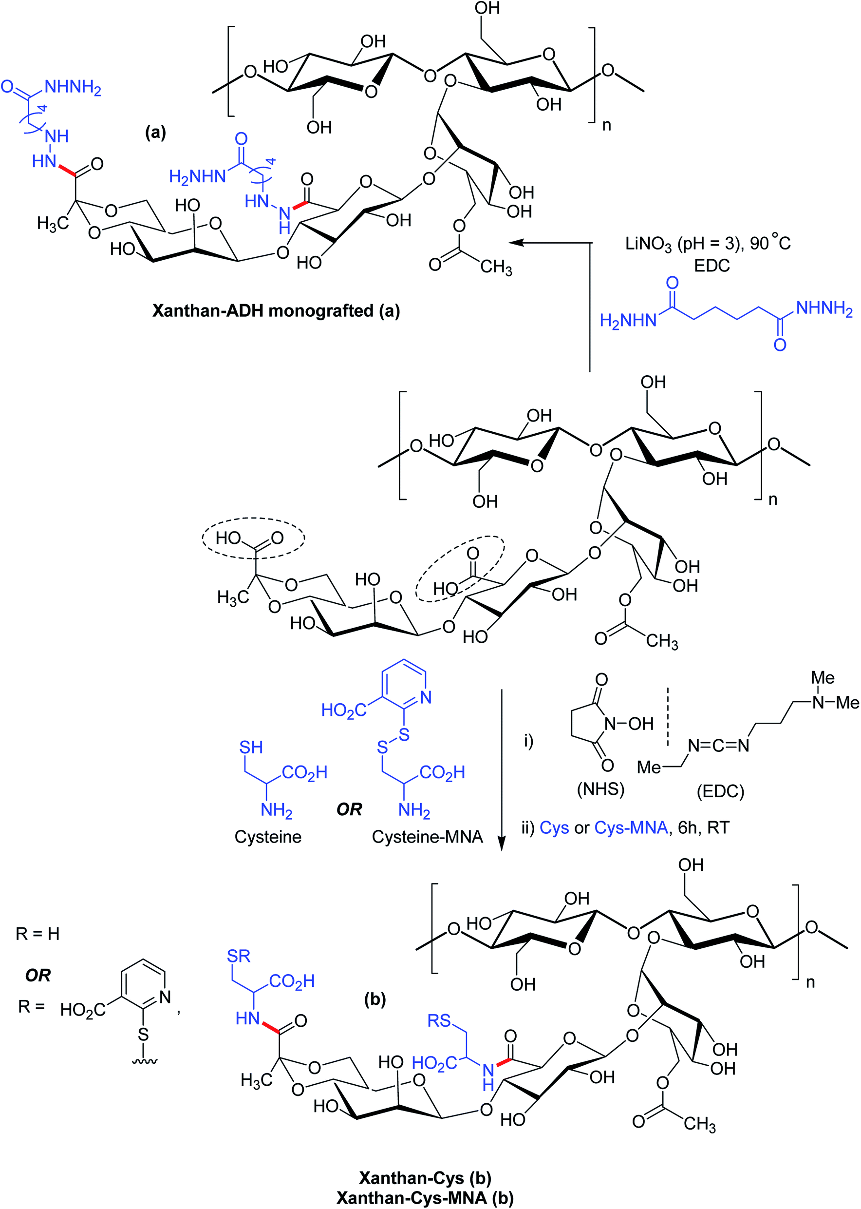 Xanthan Gum Derivatives Review Of Synthesis Properties And Diverse Applications Rsc Advances Rsc Publishing Doi 10 1039 D0rad