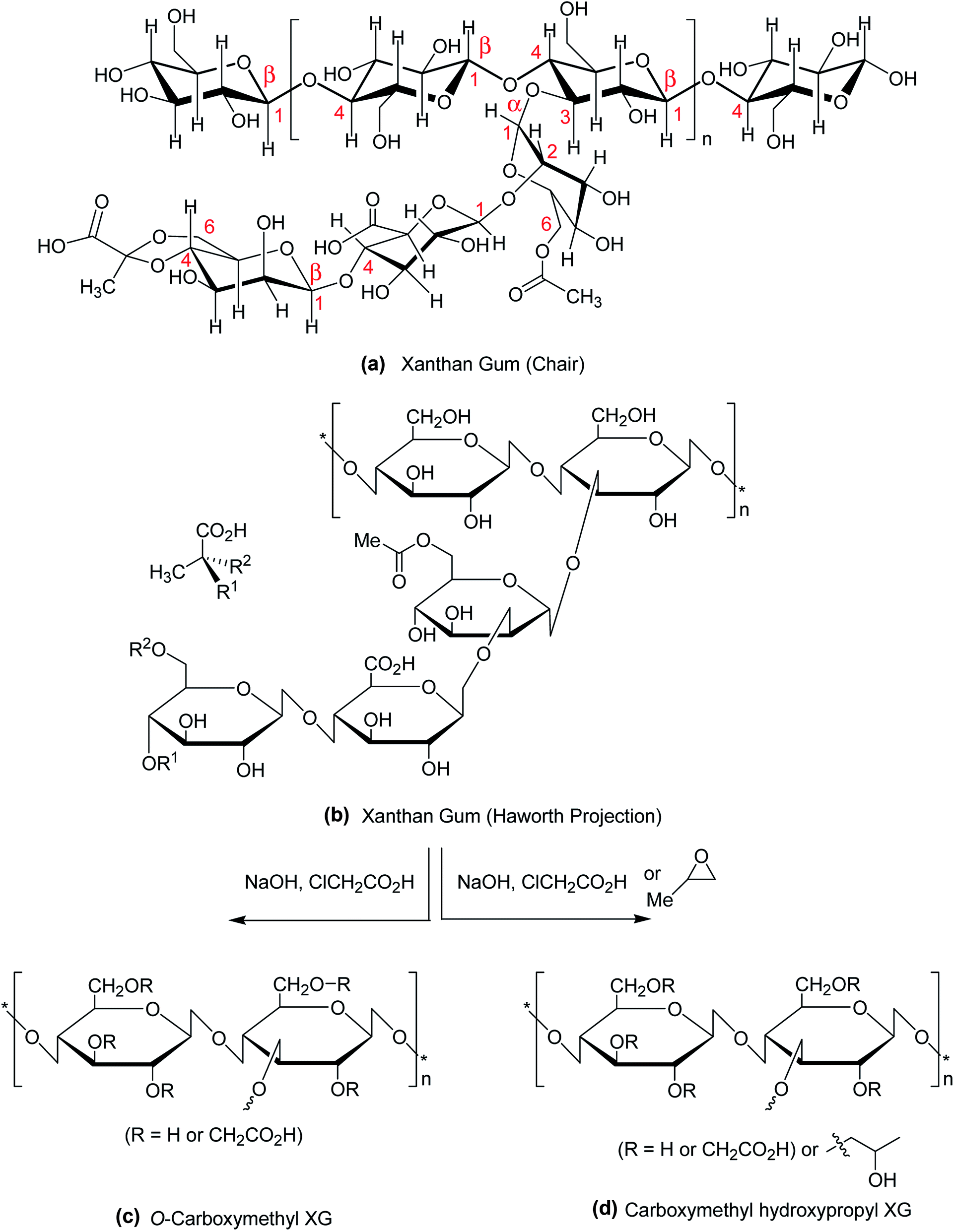 Xanthan Gum Derivatives Review Of Synthesis Properties And Diverse Applications Rsc Advances Rsc Publishing Doi 10 1039 D0rad