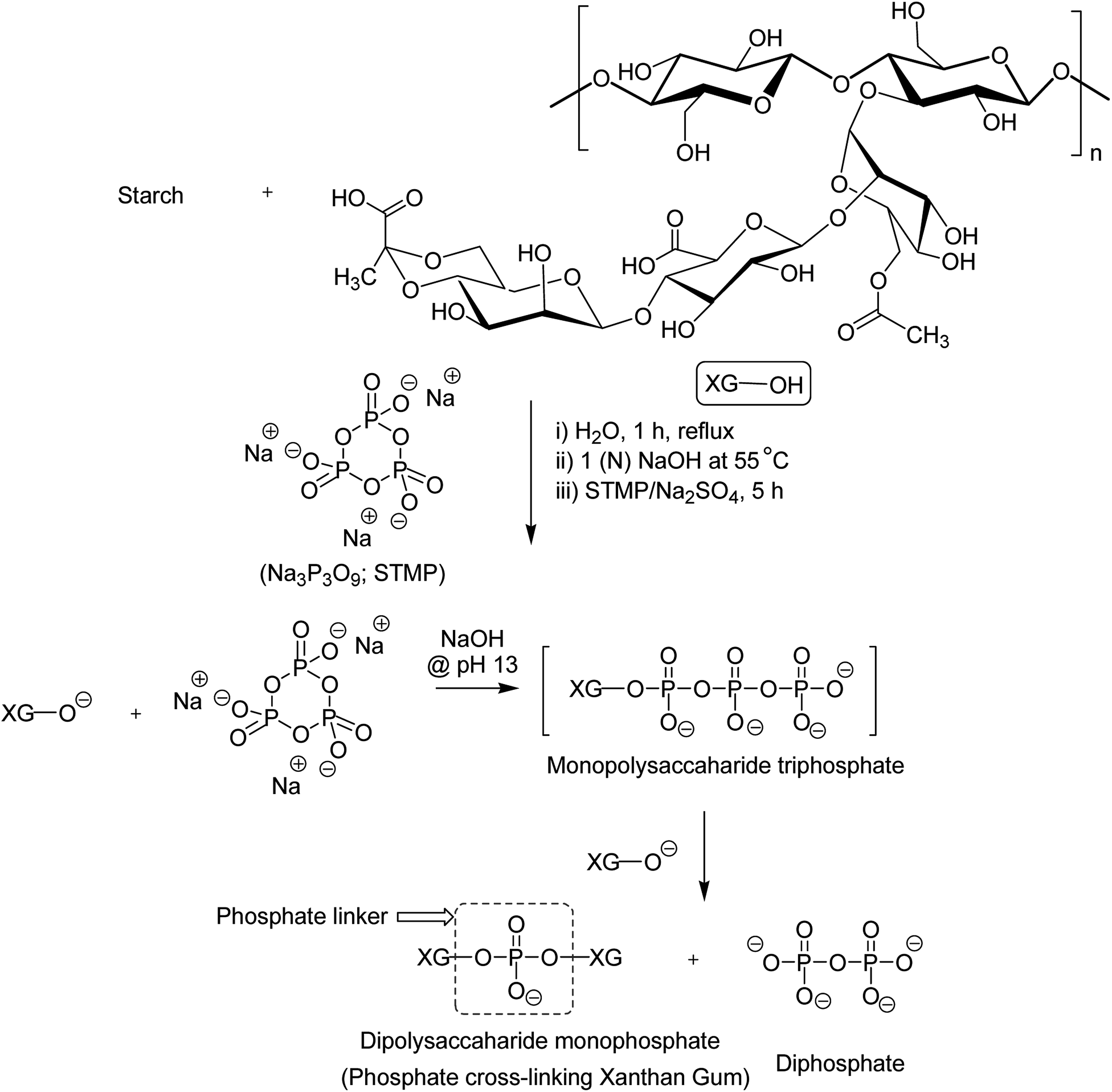 Xanthan Gum Derivatives Review Of Synthesis Properties And Diverse Applications Rsc Advances Rsc Publishing Doi 10 1039 D0rad