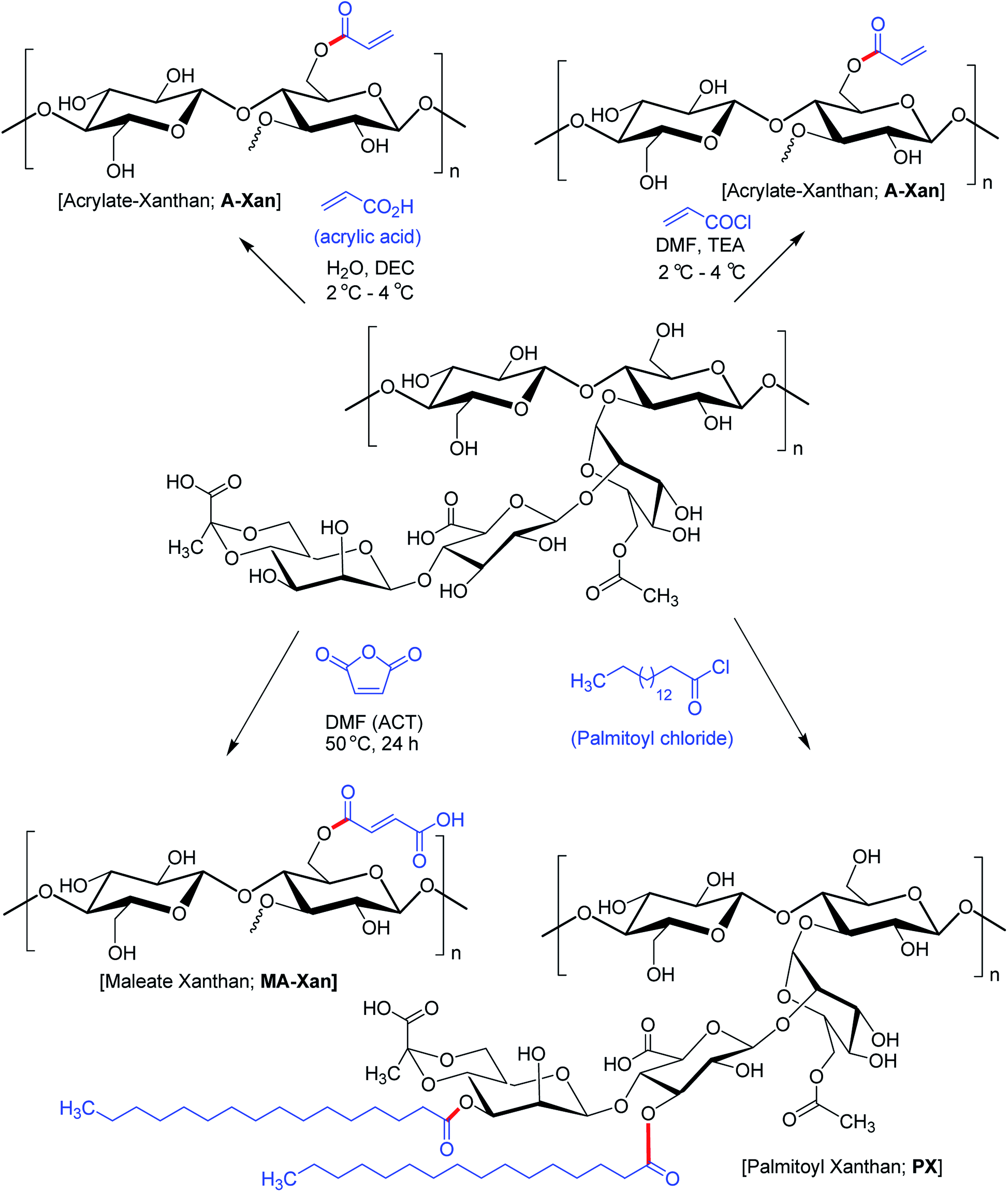 Xanthan Gum Derivatives Review Of Synthesis Properties And Diverse Applications Rsc Advances Rsc Publishing Doi 10 1039 D0rad