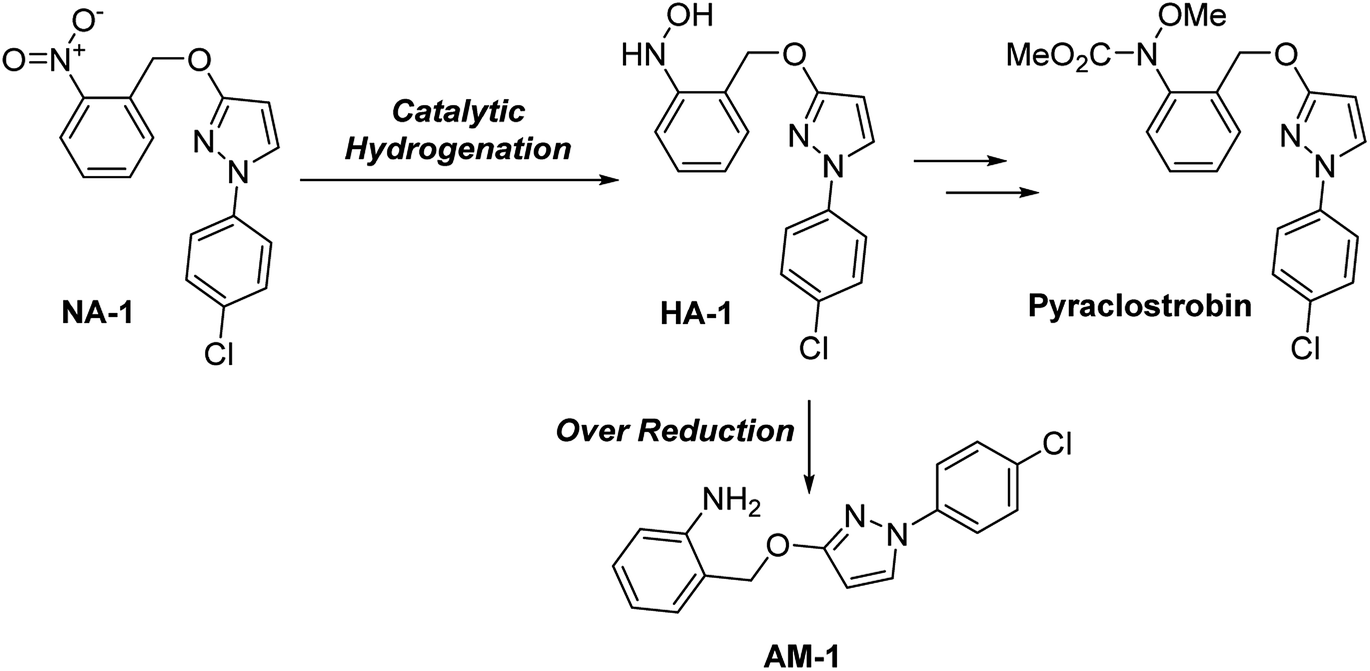 Selective hydrogenation of nitroaromatics to N -arylhydroxylamines in a  micropacked bed reactor with passivated catalyst - RSC Advances (RSC  Publishing) DOI:10.1039/D0RA05715K