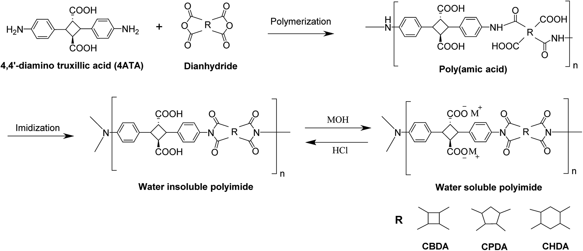 Soluble Polymers, Products : Monomer, Polyacrylamide, Polydadmac, Polyamines, Dicyandiamide Resins, Superabsorant, Dispersants