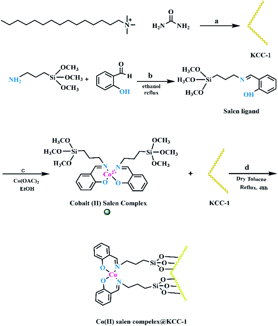 Selective oxidation of alcohols and sulfides via O 2 using a Co
