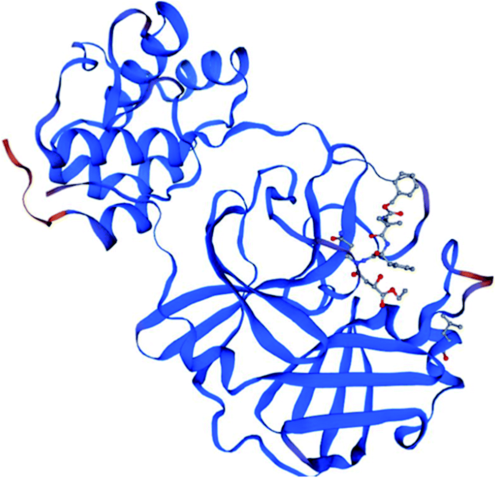 Several Coumarin Derivatives And Their Pd Ii Complexes As Potential Inhibitors Of The Main Protease Of Sars Cov 2 An In Silico Approach Rsc Advances Rsc Publishing Doi 10 1039 D0ra07062a - purrple catto roblox amino