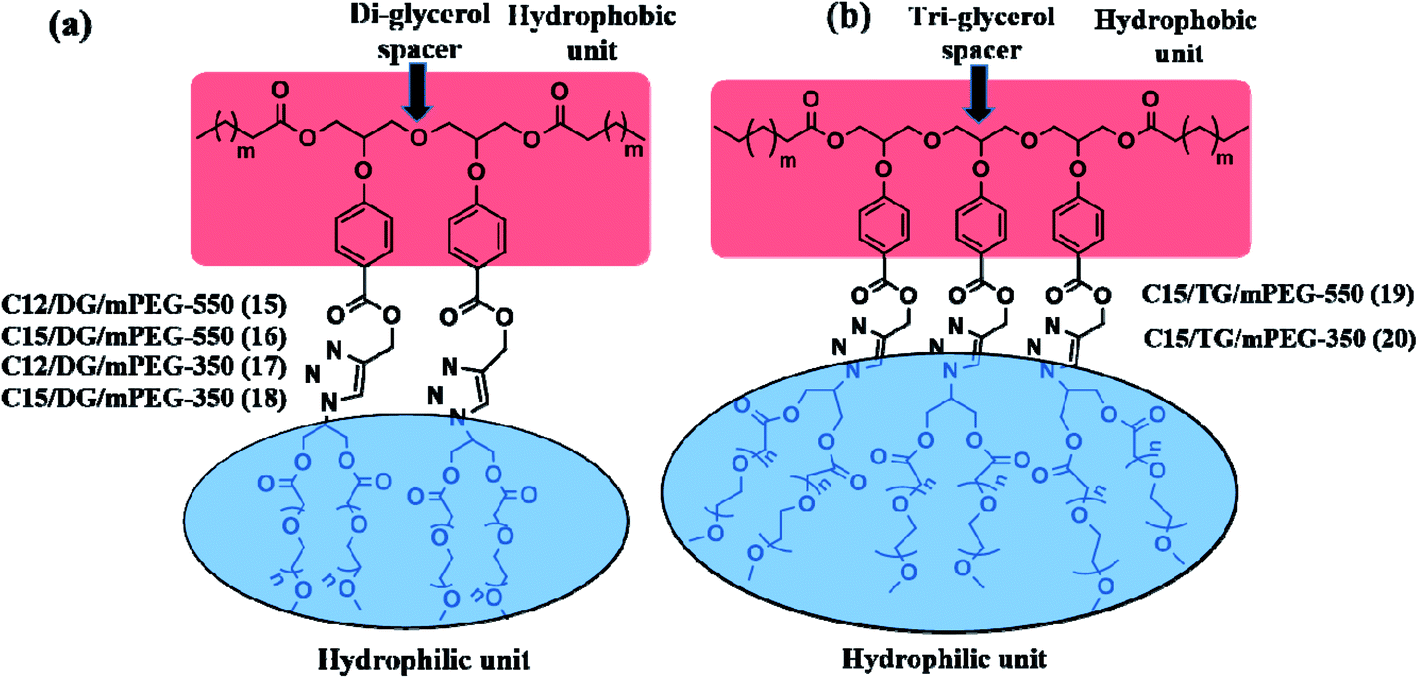Oligo Glycerol Based Non Ionic Amphiphilic Nanocarriers For Lipase Mediated Controlled Drug Release Rsc Advances Rsc Publishing Doi 10 1039 D0raj