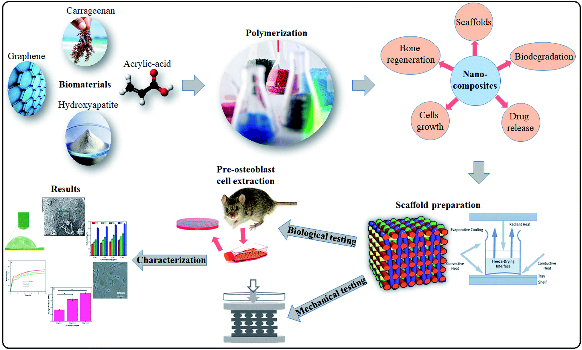 Development And In Vitro Evaluation Of K Carrageenan Based Polymeric Hybrid Nanocomposite Scaffolds For Bone Tissue Engineering Rsc Advances Rsc Publishing Doi 10 1039 D0ra07446b